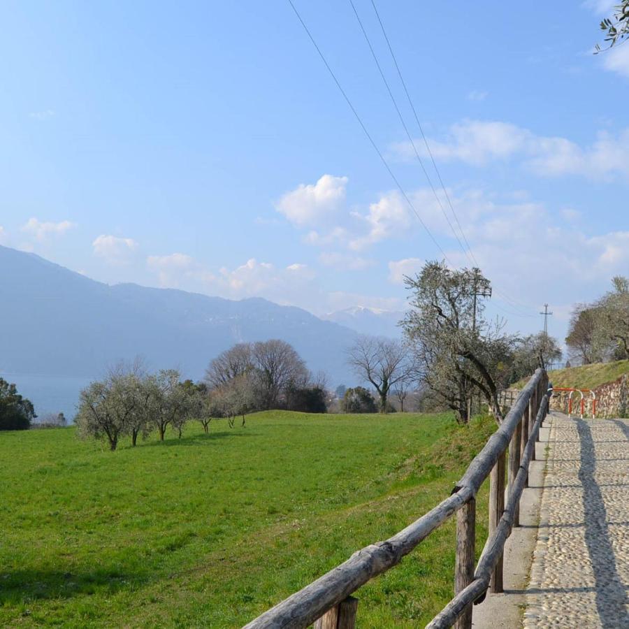 La Cascina Della Vigna Del Viandante Villa Abbadia Lariana Exterior foto